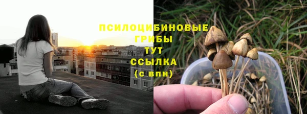 герыч Горнозаводск