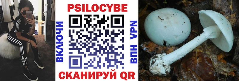 Купить где Облучье Галлюциногенные грибы Cubensis